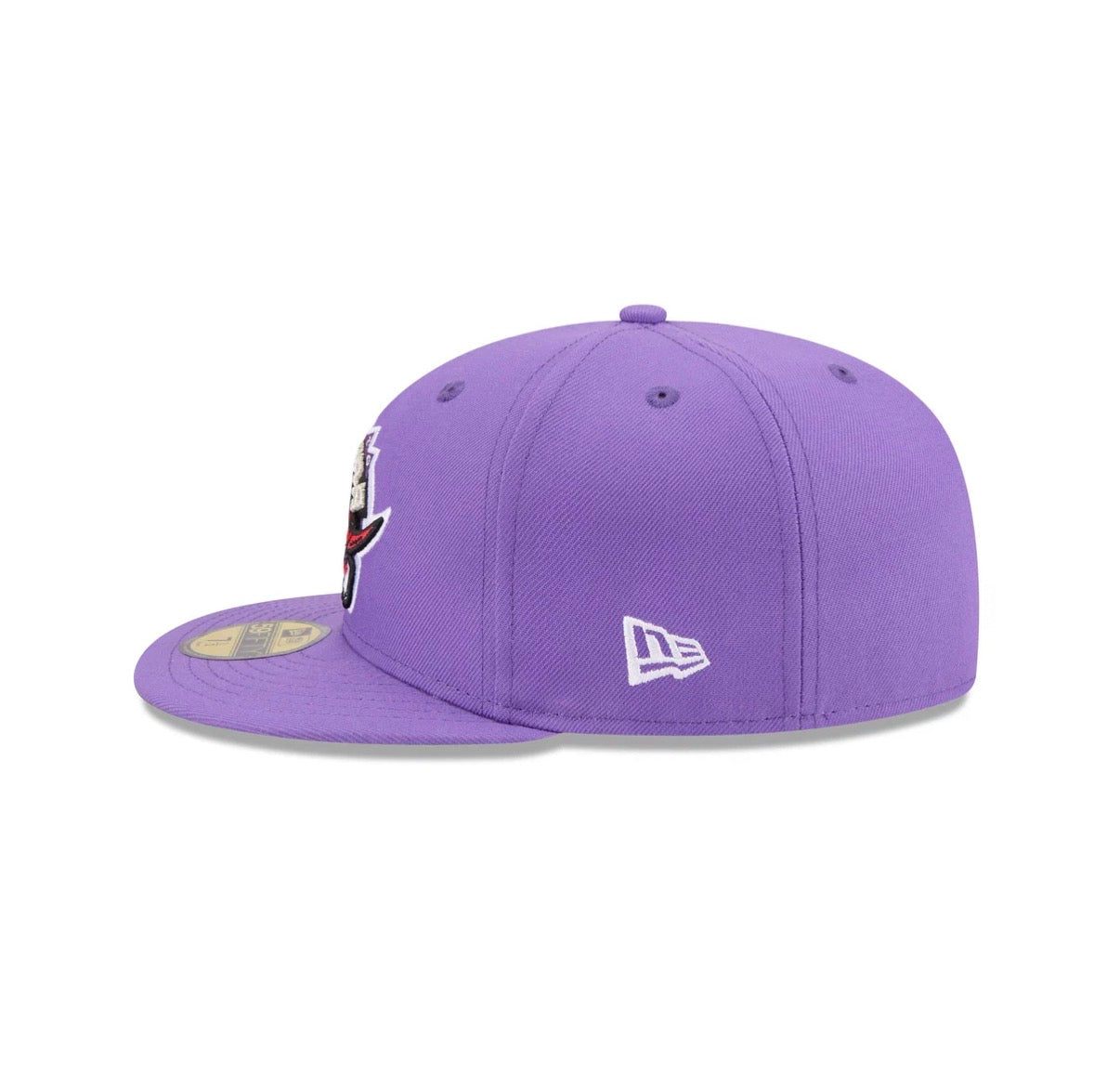 Toronto Raptors Purple 95-96 Inaugural Season Grey uv