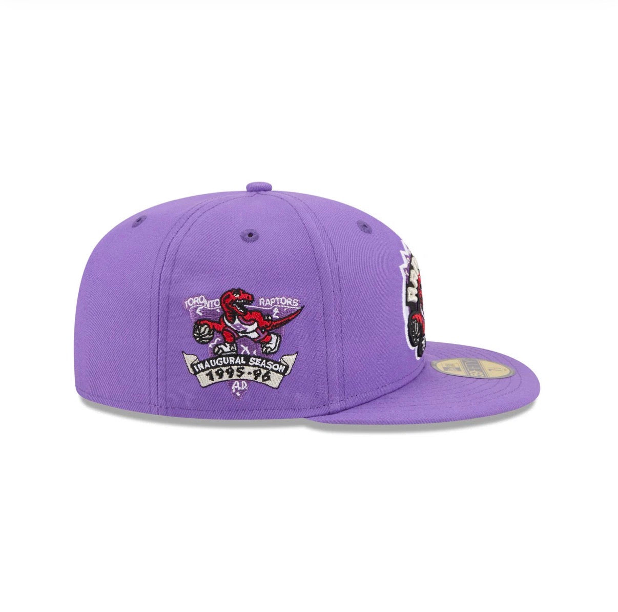 Toronto Raptors Purple 95-96 Inaugural Season Grey uv