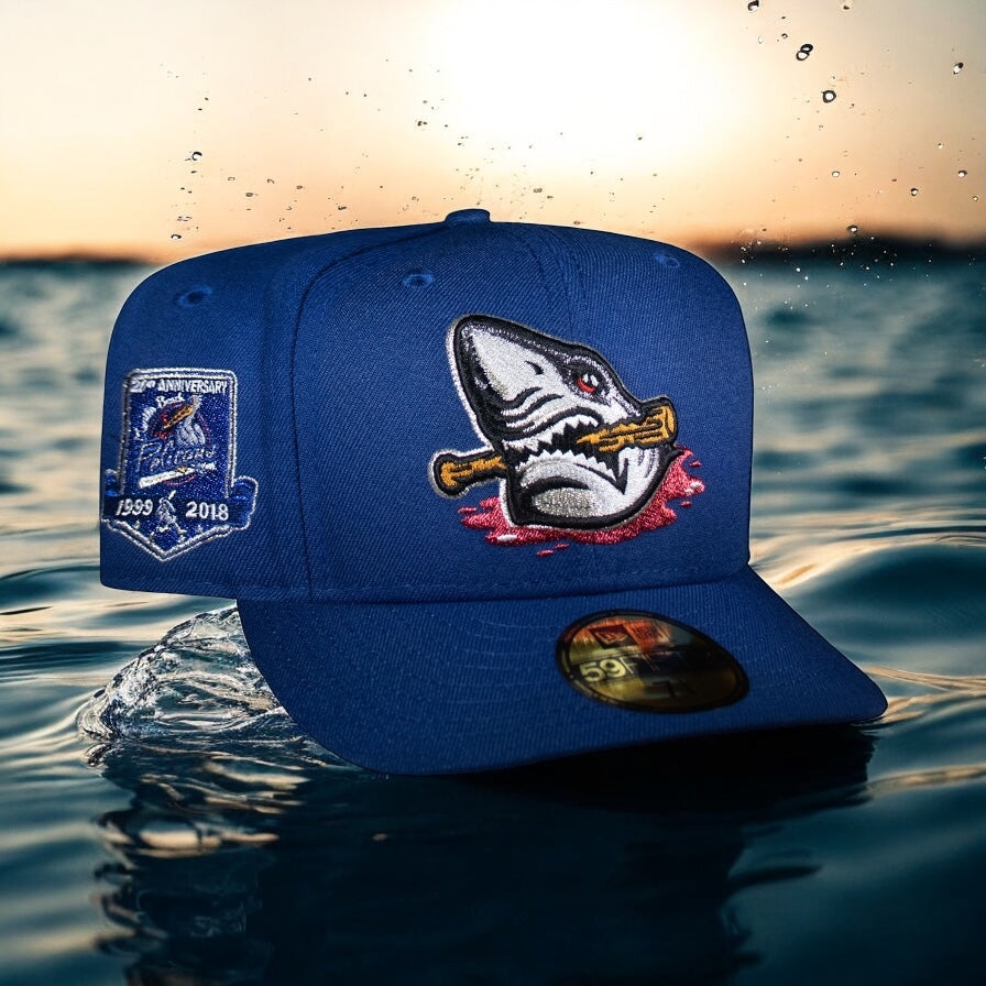 Myrtle Beach Pelicans Songbird Blue 20th anniversary Grey uv