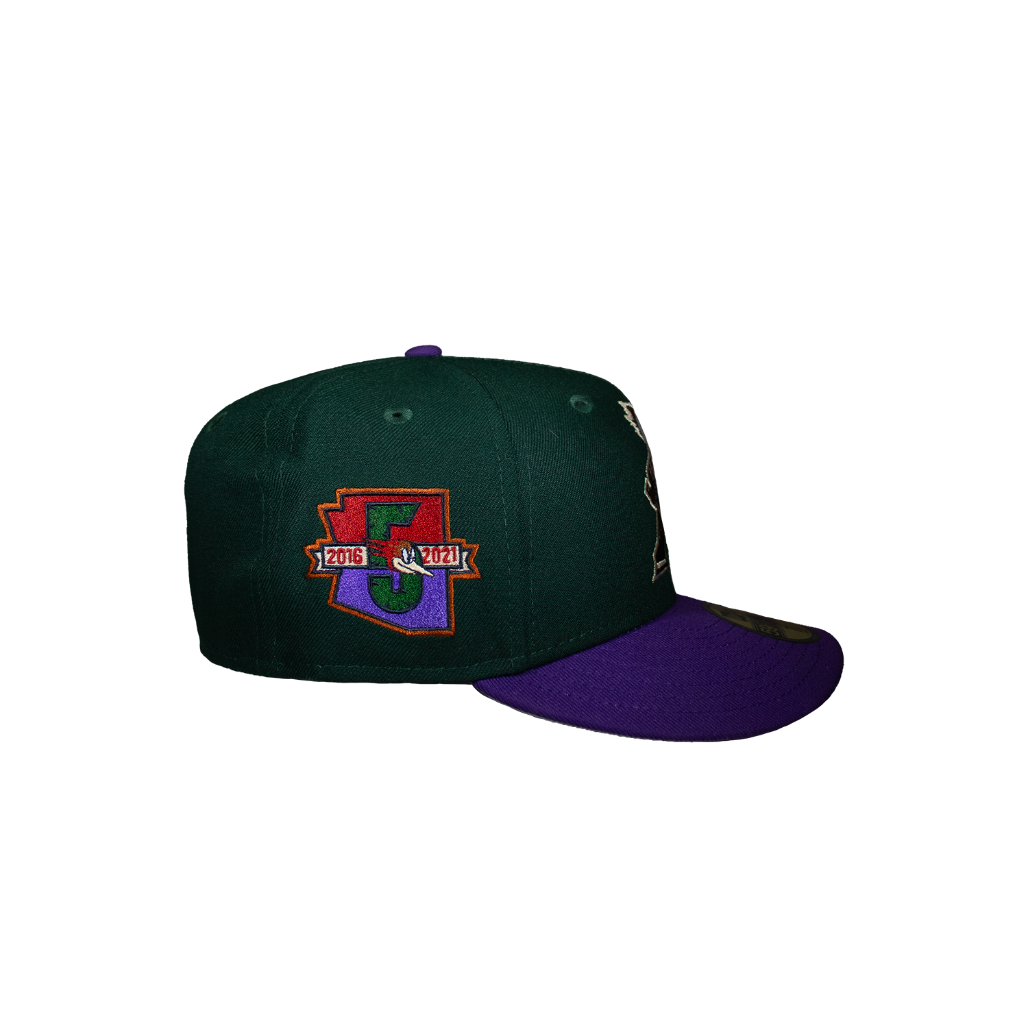 Tucson Roadrunners Green and Purple Hockey