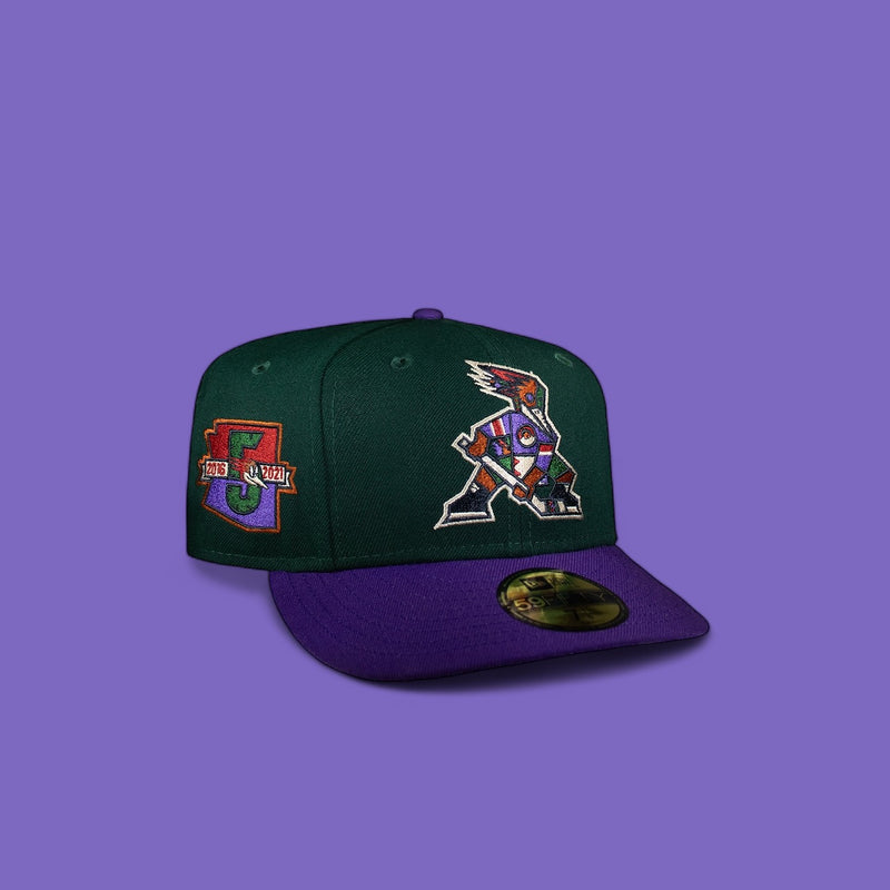 Tucson Roadrunners Green and Purple Hockey