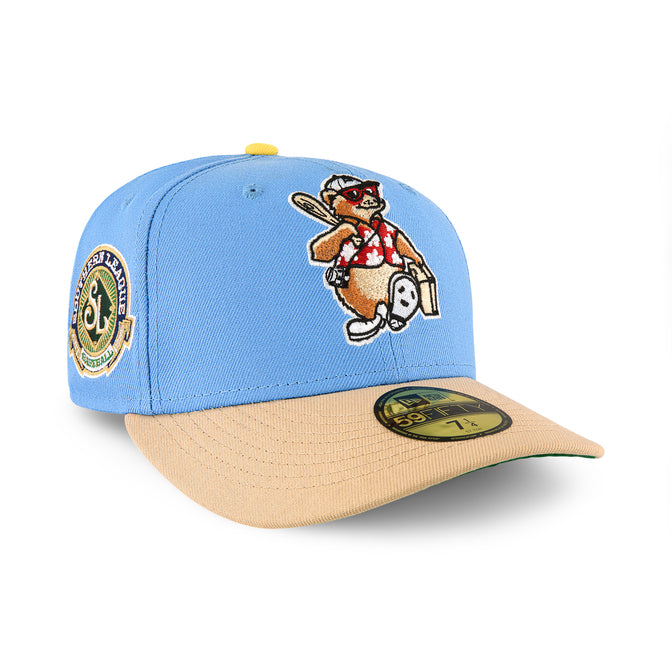 Asheville Tourists Sky Blue & Camel Green uv