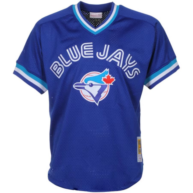 Toronto Blue Jays Jersey 29 Carter