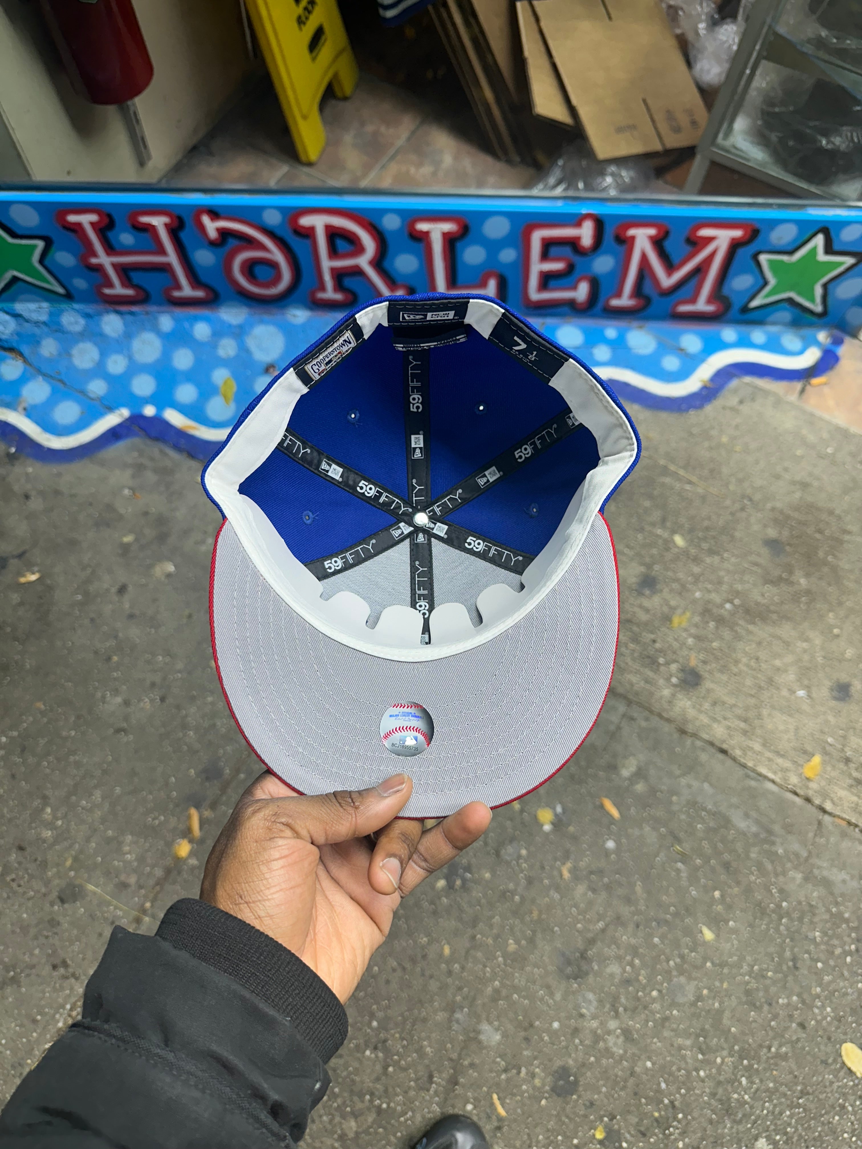 Chicago Cubs Royal Blue & Red Angry Bear Logo