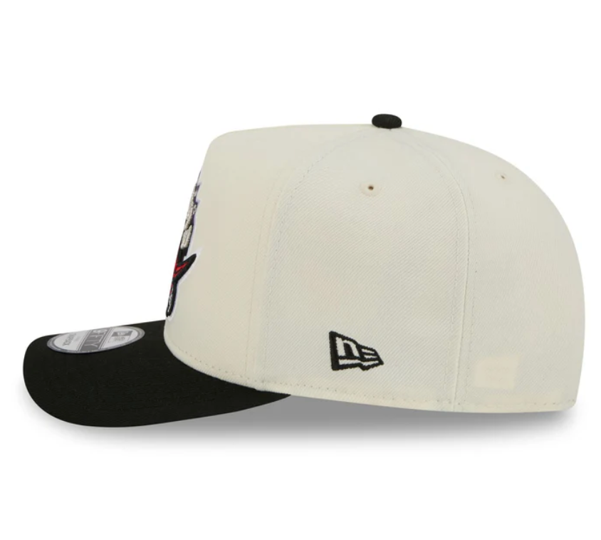 Toronto Raptors HWC Chrome White 9FIFTY A-Frame Snapback